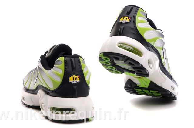 nike tn 2010 grise (3).JPG